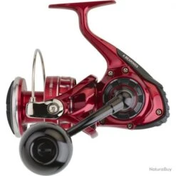 BG LT RR 8000 P ARK Moulinet Peches Fortes Daiwa