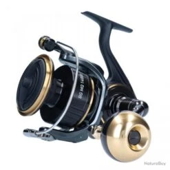 BG MQ 18 000 ARK 2020 Moulinet Spinning Daiwa