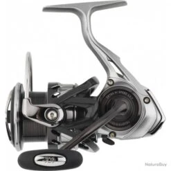 Caldia LT 2018 6000 D Moulinet Daiwa