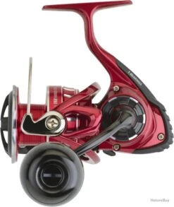 Daiwa MOUL.BG RR LT 5000 D CXH ARK