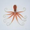 Savage Gear 3D Octopus 70g Brown Glow -Aqua Peche Soldes Magasin 00001 Savage Gear 3D Octopus 70g Brown Glow