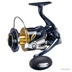 Shimano Stella SWC 2019-2020 STLSW-C 10000 PG