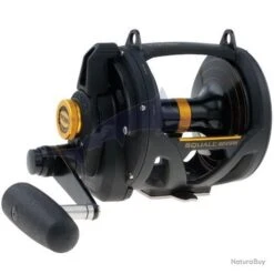 Penn Squall Lever Drag 2 Vitesses SQUALL 30VSW LD 2SP