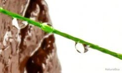 Fil De Peche Multifilament PE 4 Brins 300m, Couleur: Au Choix, Modele: 0.09mm 4.6kg -Aqua Peche Soldes Magasin 00003 Fil de Peche Multifilament PE 4 brins 300m Couleur Au Choix Modele 0.09mm 4.6kg