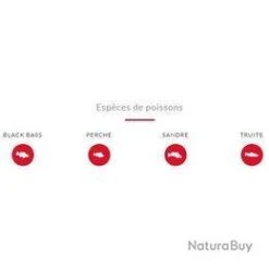 Leurre Dark Sleeper Megabass 1.4 - 1/4 - 6,2cm Wakasagi -Aqua Peche Soldes Magasin 00007 Leurre Dark Sleeper Megabass 1.4 1 4 6 2cm Wakasagi